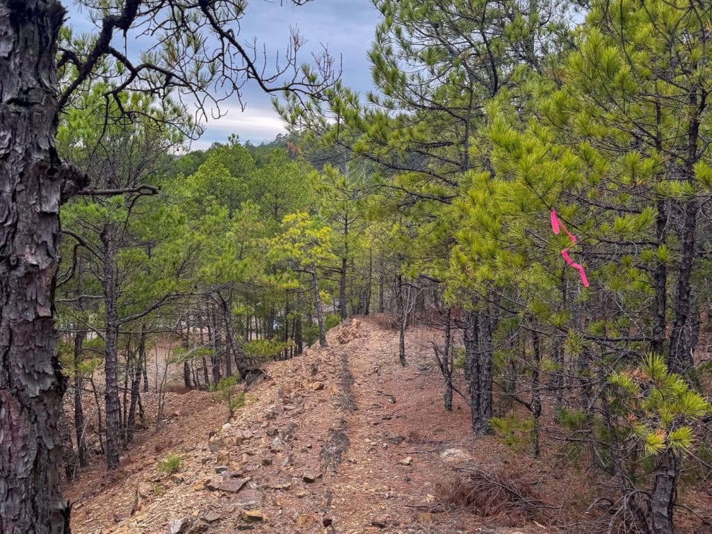 Mountain Trails in the hills of Arkansas